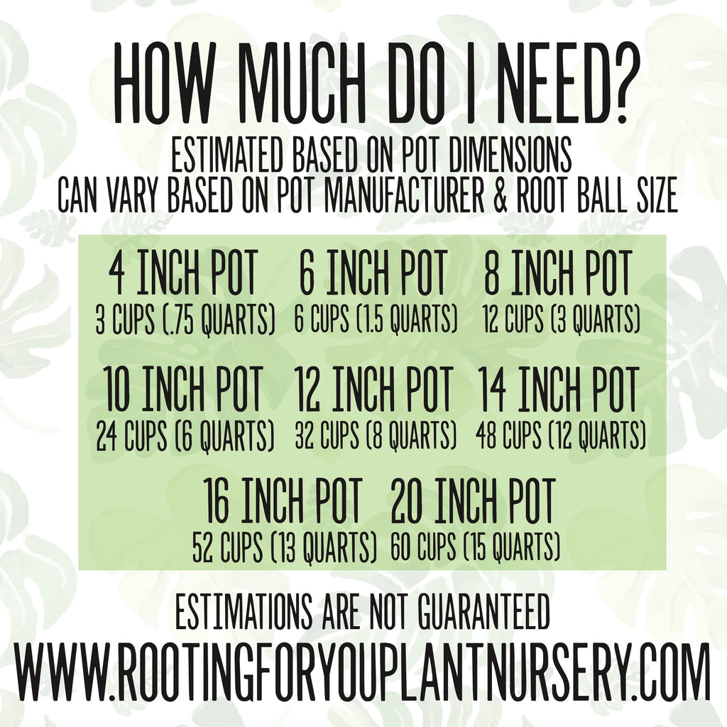 CACTUS & SUCCULENT Premium Potting Mix