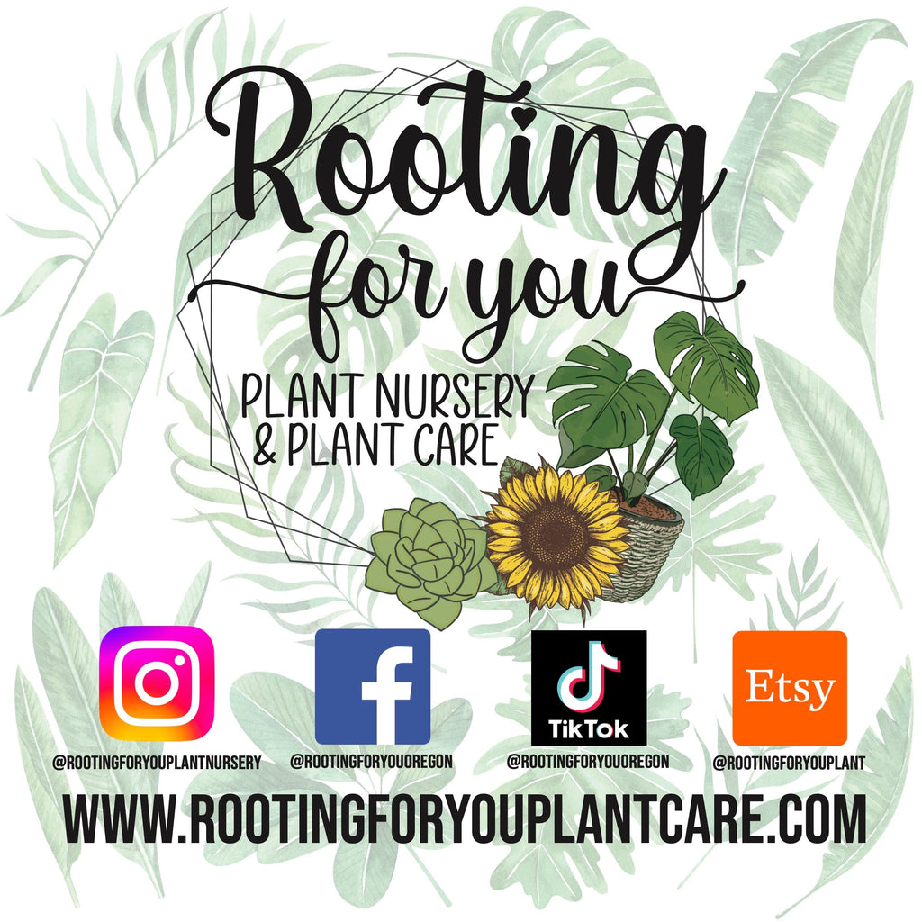 Fruit Bearing Tree and Plant Premium Potting Mix